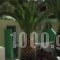 Voula Ilias Studios_best deals_Hotel_Dodekanessos Islands_Kalimnos_Kalimnos Rest Areas