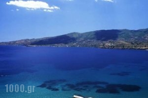 Panorama Apartments_best prices_in_Apartment_Piraeus Islands - Trizonia_Trizonia_Trizonia Rest Areas