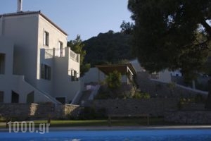 Xenon Estate_lowest prices_in_Hotel_Piraeus Islands - Trizonia_Spetses_Spetses Chora
