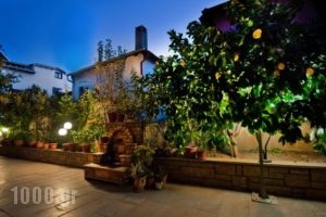 Archodariki_best prices_in_Hotel_Macedonia_Halkidiki_Ierissos