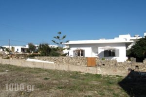 Piccola Villa_travel_packages_in_Cyclades Islands_Antiparos_Antiparos Chora