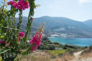 Amorgi Studios_best deals_Hotel_Cyclades Islands_Amorgos_Amorgos Chora