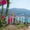 Amorgi Studios_best deals_Hotel_Cyclades Islands_Amorgos_Amorgos Chora