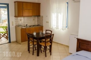 Almar Apartments_best deals_Apartment_Cyclades Islands_Andros_Batsi