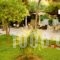 Acropol Hotel_lowest prices_in_Hotel_Central Greece_Attica_Amarousio (Marousi)