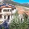 Mountain House_accommodation_in_Hotel_Central Greece_Evritania_Korischades
