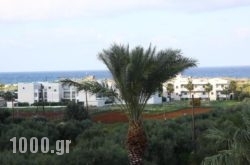 Triton Garden Hotel in Malia, Heraklion, Crete