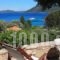 Lithea Villas and Studios by the Sea_best deals_Villa_Sporades Islands_Skopelos_Neo Klima - Elios