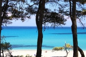 Villa Marina_travel_packages_in_Ionian Islands_Kefalonia_Kefalonia'st Areas