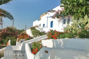 Kritikakis Village Hotel_travel_packages_in_Cyclades Islands_Ios_Ios Chora