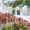 Kritikakis Village Hotel_holidays_in_Hotel_Cyclades Islands_Ios_Ios Chora