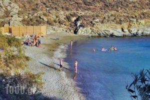 Aegean Panorama_holidays_in_Hotel_Cyclades Islands_Tinos_Tinosst Areas