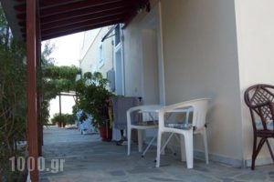 Oasis Studios_best deals_Hotel_Aegean Islands_Samos_Samosora