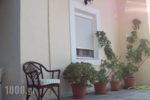 Oasis Studios_holidays_in_Hotel_Aegean Islands_Samos_Samosora