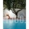 Infinity White Villa_holidays_in_Villa_Central Greece_Attica_Anabyssos