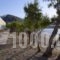 Apothikes Apartments_holidays_in_Apartment_Crete_Lasithi_Koutsounari