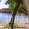 Apothikes Apartments_best deals_Apartment_Crete_Lasithi_Koutsounari