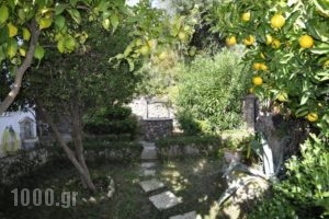 Emmy Villa Paleokastritsa_best deals_Villa_Ionian Islands_Corfu_Corfu Rest Areas