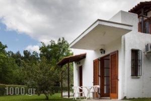 Eretria Park Studios_holidays_in_Hotel_Central Greece_Evia_Eretria
