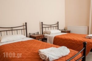 Villa Georgia_accommodation_in_Villa_Ionian Islands_Kefalonia_Kefalonia'st Areas