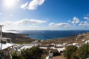 Villa Ellis Mar_holidays_in_Villa_Cyclades Islands_Mykonos_Agios Stefanos