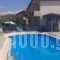 Studios Nikos_holidays_in_Hotel_Aegean Islands_Lesvos_Kalloni