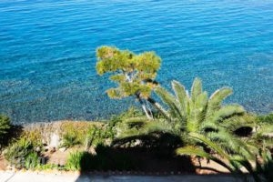 Perdika Mare_best prices_in_Hotel_Piraeus Islands - Trizonia_Aigina_Aigina Rest Areas
