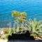 Perdika Mare_best prices_in_Hotel_Piraeus Islands - Trizonia_Aigina_Aigina Rest Areas