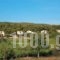 Agrabeli_best deals_Hotel_Ionian Islands_Zakinthos_Zakinthos Rest Areas