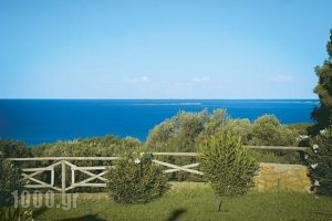 Vasiliki_holidays_in_Hotel_Ionian Islands_Kefalonia_Argostoli