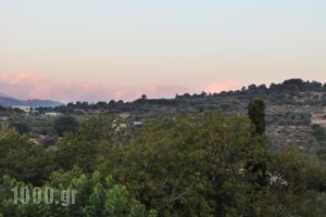 Zouridi Villa Park_lowest prices_in_Villa_Crete_Rethymnon_Rethymnon City