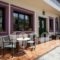 Apollon Hotel_best deals_Hotel_Cyclades Islands_Naxos_Naxos Chora