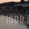 Despoina Apartments_best prices_in_Apartment_Central Greece_Fthiotida_Agios Konstantinos