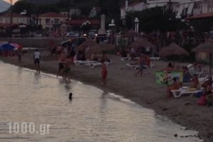 Despoina Apartments_lowest prices_in_Apartment_Central Greece_Fthiotida_Agios Konstantinos