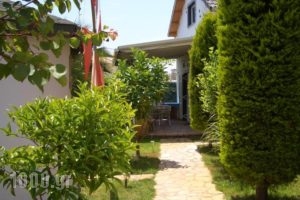 Aspri Villa House_holidays_in_Villa_Epirus_Preveza_Parga