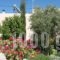 The Old Kafenion B&B_lowest prices_in_Hotel_Crete_Heraklion_Tymbaki