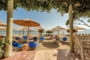 Dafni Villas & Maisonettes_travel_packages_in_Ionian Islands_Zakinthos_Zakinthos Chora