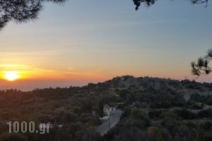 Avgonima All Seasons Hotel_best deals_Hotel_Aegean Islands_Chios_Chios Rest Areas