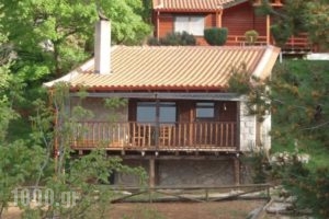 Tetrapolis_accommodation_in_Hotel_Central Greece_Fokida_Amfissa