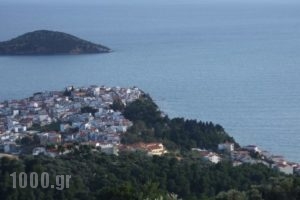 Stathi's House_best prices_in_Hotel_Sporades Islands_Skiathos_Skiathos Chora