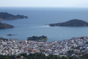 Stathi's House_lowest prices_in_Hotel_Sporades Islands_Skiathos_Skiathos Chora
