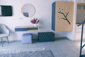 Issalos Studios_best prices_in_Hotel_Aegean Islands_Thasos_Thasos Chora