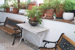 Acropolis House_lowest prices_in_Hotel_Central Greece_Attica_Athens