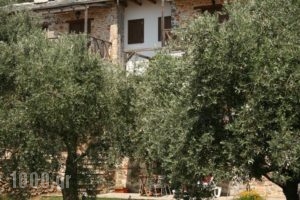 Alexis Villas_best deals_Villa_Aegean Islands_Thasos_Thasos Chora