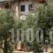 Alexis Villas_best deals_Villa_Aegean Islands_Thasos_Thasos Chora