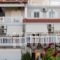 Studio Thea_lowest prices_in_Hotel_Ionian Islands_Kefalonia_Kefalonia'st Areas