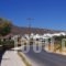 Ostria Studios_holidays_in_Hotel_Cyclades Islands_Andros_Gavrio