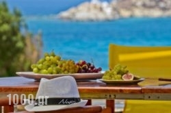 Ydreos Studios & Apartments in Mikri Vigla, Naxos, Cyclades Islands