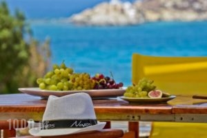 Ydreos Studios & Apartments_accommodation_in_Apartment_Cyclades Islands_Naxos_Mikri Vigla