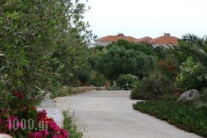 Alkionides Villas_lowest prices_in_Villa_Crete_Lasithi_Sitia